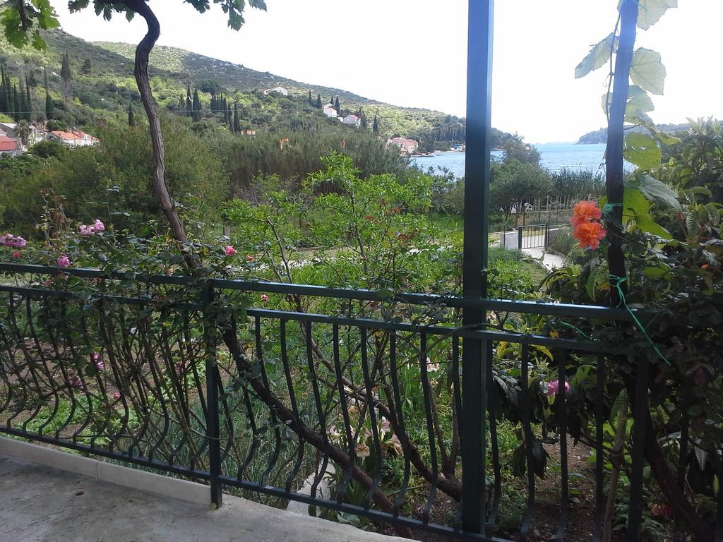 Holiday home Garden *