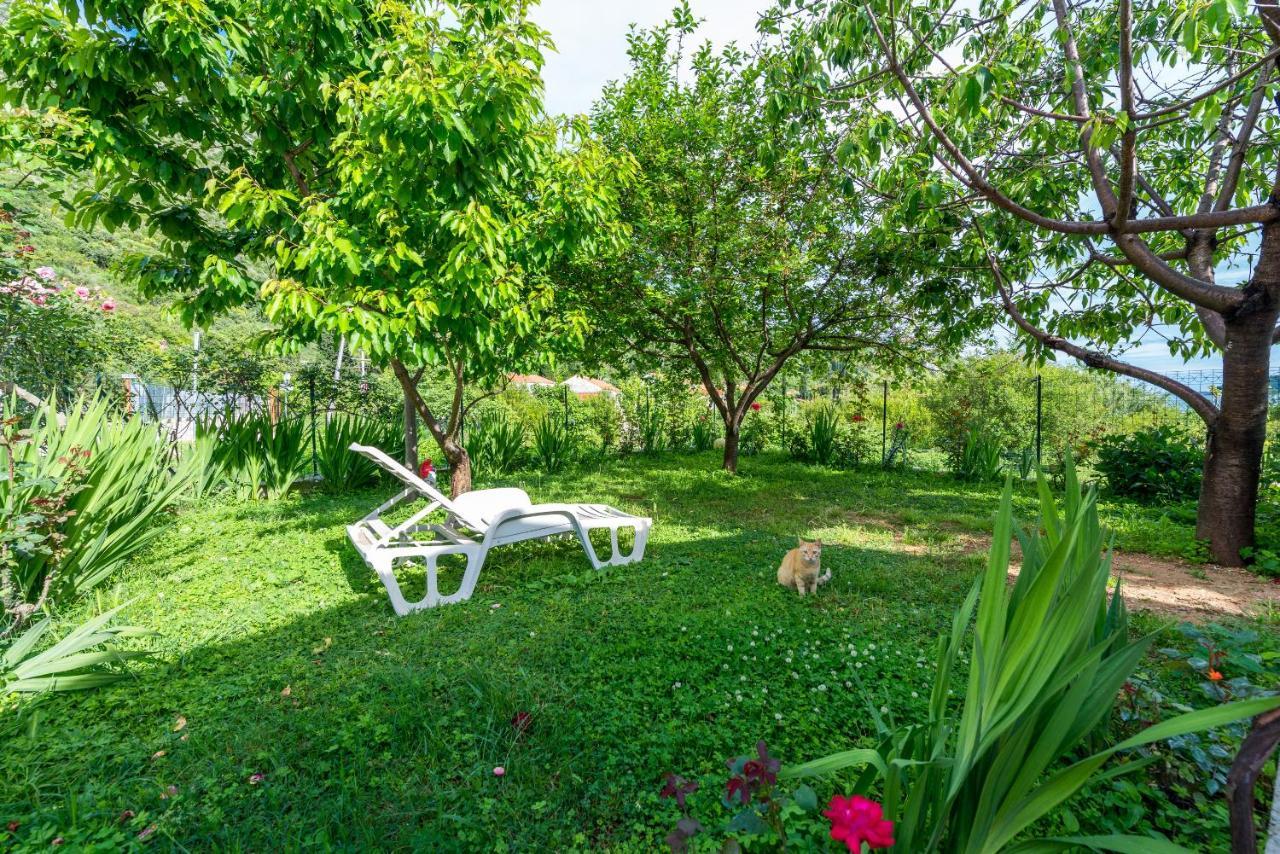 Garden Holiday home