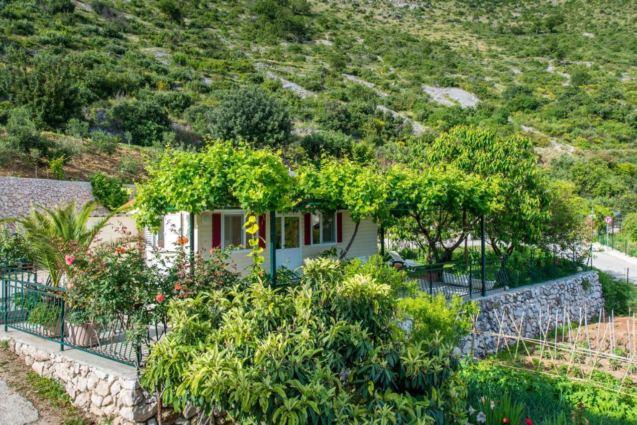Holiday home Garden