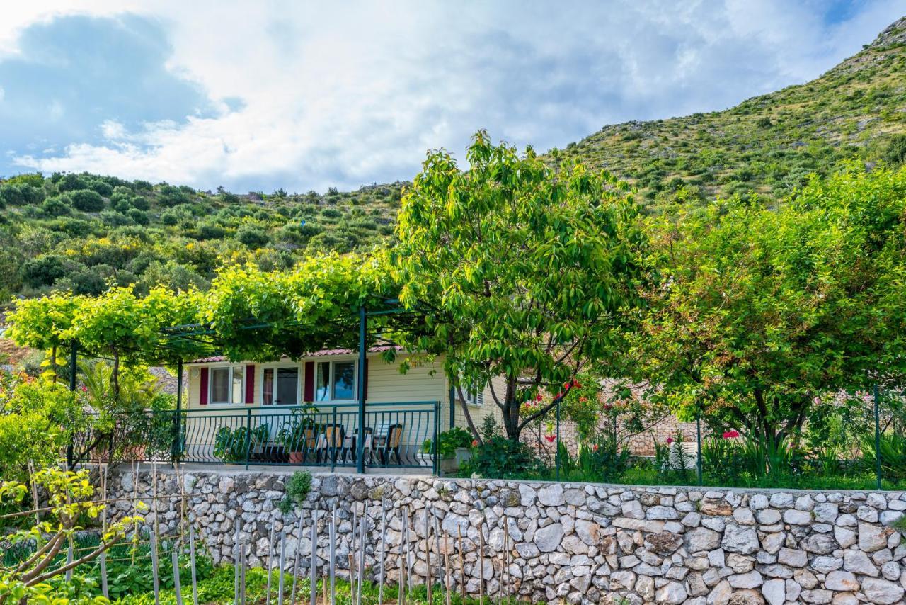 Holiday home Garden Zaton (Dubrovnik-Neretva)